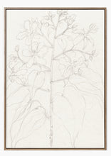 Load image into Gallery viewer, Floral Sketch Art Print