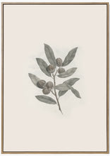 Load image into Gallery viewer, Vintage Branch Print